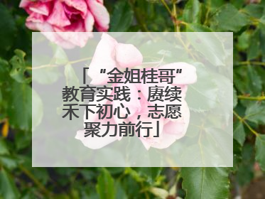 “金姐桂哥”教育实践：赓续禾下初心，志愿聚力前行