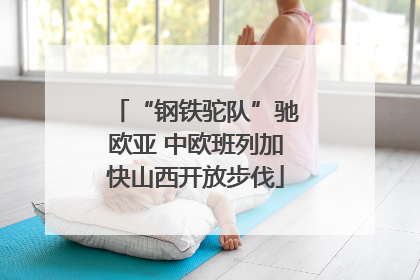 “钢铁驼队”驰欧亚 中欧班列加快山西开放步伐