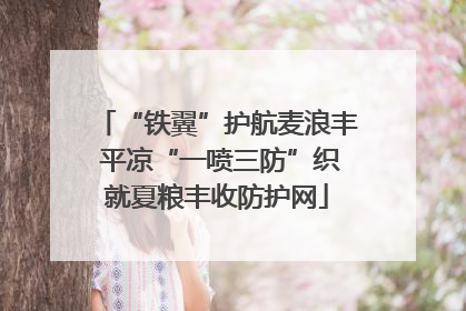 “铁翼”护航麦浪丰 平凉“一喷三防”织就夏粮丰收防护网