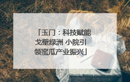 玉门：科技赋能戈壁绿洲 小院引领蜜瓜产业振兴