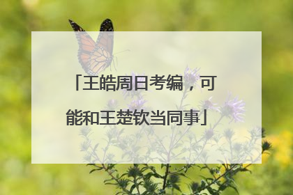 王皓周日考编，可能和王楚钦当同事