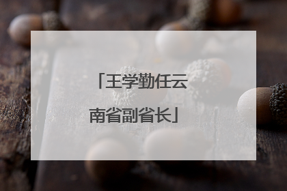 王学勤任云南省副省长