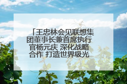 王忠林会见联想集团董事长兼首席执行官杨元庆 深化战略合作 打造世界级光电子信息产业集群