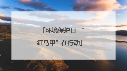 环境保护日 “红马甲”在行动