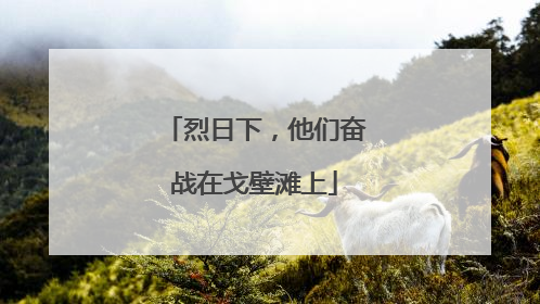烈日下，他们奋战在戈壁滩上