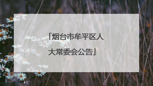 烟台市牟平区人大常委会公告