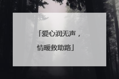 爱心润无声，情暖救助路