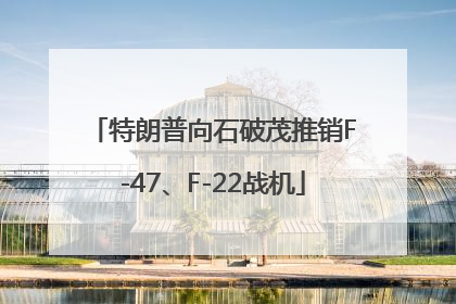 特朗普向石破茂推销F-47、F-22战机
