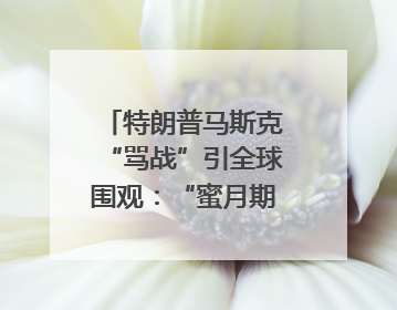 特朗普马斯克“骂战”引全球围观：“蜜月期”也曾亲密无间｜国际观察