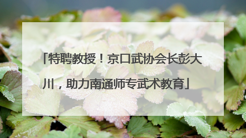 特聘教授！京口武协会长彭大川，助力南通师专武术教育
