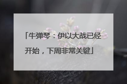 牛弹琴：伊以大战已经开始，下周非常关键