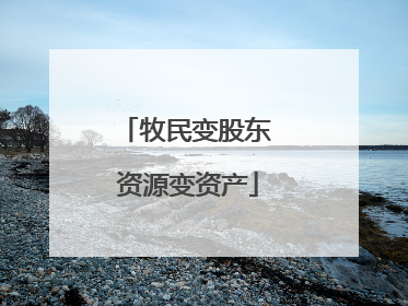 牧民变股东 资源变资产