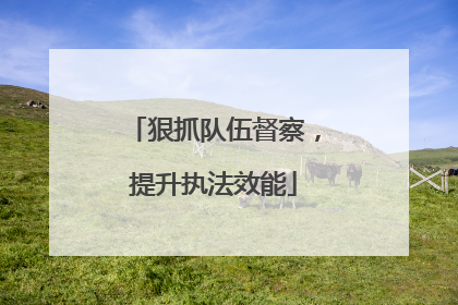 狠抓队伍督察，提升执法效能