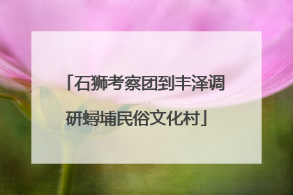 石狮考察团到丰泽调研蟳埔民俗文化村