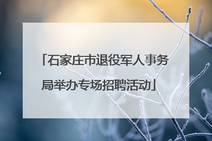 石家庄市退役军人事务局举办专场招聘活动