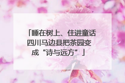 睡在树上、住进童话 四川马边县把茶园变成“诗与远方”