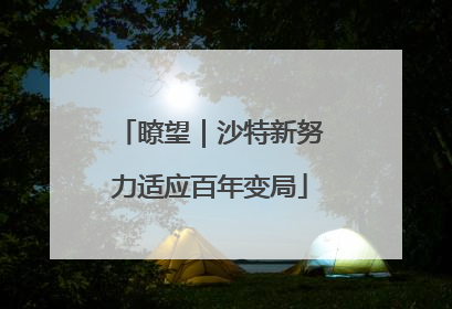瞭望｜沙特新努力适应百年变局