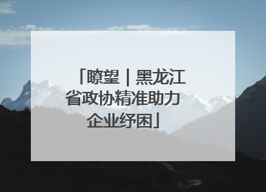 瞭望｜黑龙江省政协精准助力企业纾困