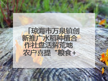 琼海市万泉镇创新推广水稻种植合作社盘活撂荒地 农户喜提“粮食+钞票”分红