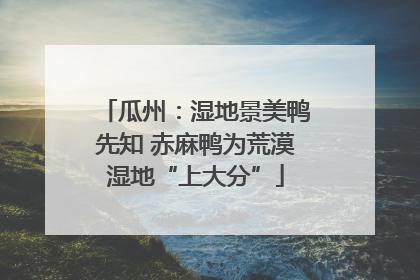 瓜州：湿地景美鸭先知 赤麻鸭为荒漠湿地“上大分”