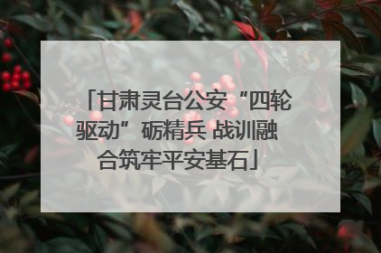 甘肃灵台公安“四轮驱动”砺精兵 战训融合筑牢平安基石