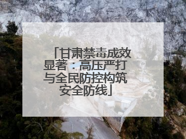 甘肃禁毒成效显著：高压严打与全民防控构筑安全防线