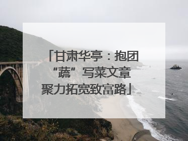 甘肃华亭：抱团“蔬”写菜文章 聚力拓宽致富路