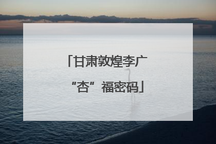 甘肃敦煌李广“杏”福密码