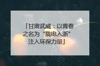 甘肃武威：以青春之名为“陇电入浙”注入环保力量