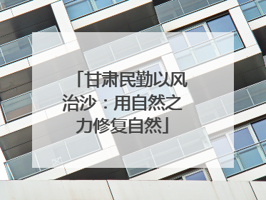 甘肃民勤以风治沙：用自然之力修复自然