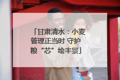 甘肃清水：小麦管理正当时 守护粮“芯”绘丰景