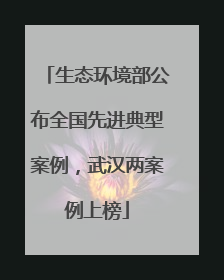 生态环境部公布全国先进典型案例，武汉两案例上榜