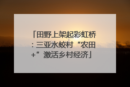 田野上架起彩虹桥：三亚水蛟村“农田+”激活乡村经济