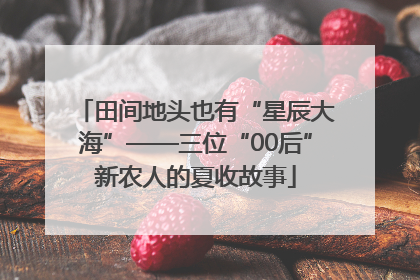 田间地头也有“星辰大海”——三位“00后”新农人的夏收故事