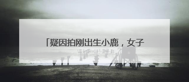疑因拍刚出生小鹿，女子在市区内遭梅花鹿攻击！