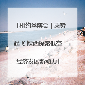 相约丝博会｜乘势起飞 陕西探索低空经济发展新动力