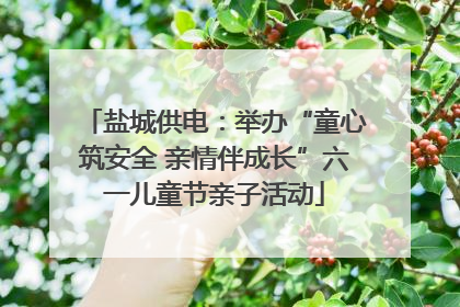 盐城供电：举办“童心筑安全 亲情伴成长”六一儿童节亲子活动