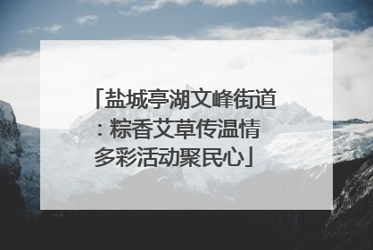 盐城亭湖文峰街道：粽香艾草传温情 多彩活动聚民心