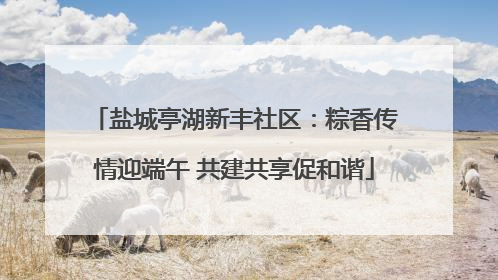 盐城亭湖新丰社区：粽香传情迎端午 共建共享促和谐