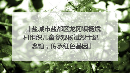 盐城市盐都区龙冈镇杨斌村组织儿童参观杨斌烈士纪念馆，传承红色基因