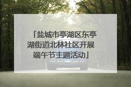 盐城市亭湖区东亭湖街道北林社区开展端午节主题活动
