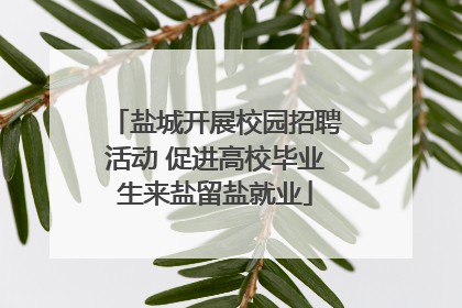 盐城开展校园招聘活动 促进高校毕业生来盐留盐就业