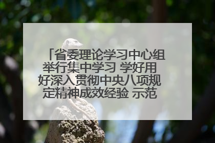 省委理论学习中心组举行集中学习 学好用好深入贯彻中央八项规定精神成效经验 示范带头持续推动全省学习教育走深走实