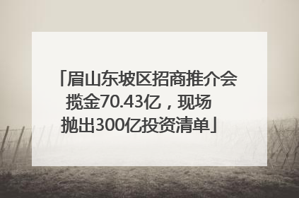 眉山东坡区招商推介会揽金70.43亿，现场抛出300亿投资清单