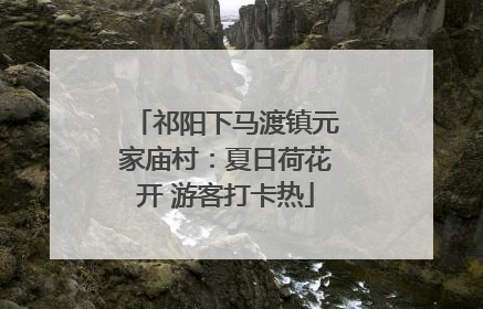 祁阳下马渡镇元家庙村：夏日荷花开 游客打卡热