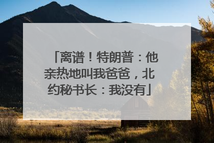 离谱！特朗普：他亲热地叫我爸爸，北约秘书长：我没有