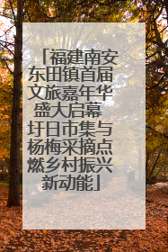 福建南安东田镇首届文旅嘉年华盛大启幕 圩日市集与杨梅采摘点燃乡村振兴新动能