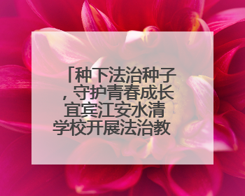 种下法治种子，守护青春成长 宜宾江安水清学校开展法治教育活动