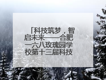 科技筑梦，智启未来——合肥一六八玫瑰园学校第十三届科技节机器人系列体验赛燃动校园