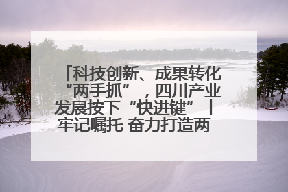 科技创新、成果转化“两手抓”，四川产业发展按下“快进键”丨牢记嘱托 奋力打造两高地两基地一屏障